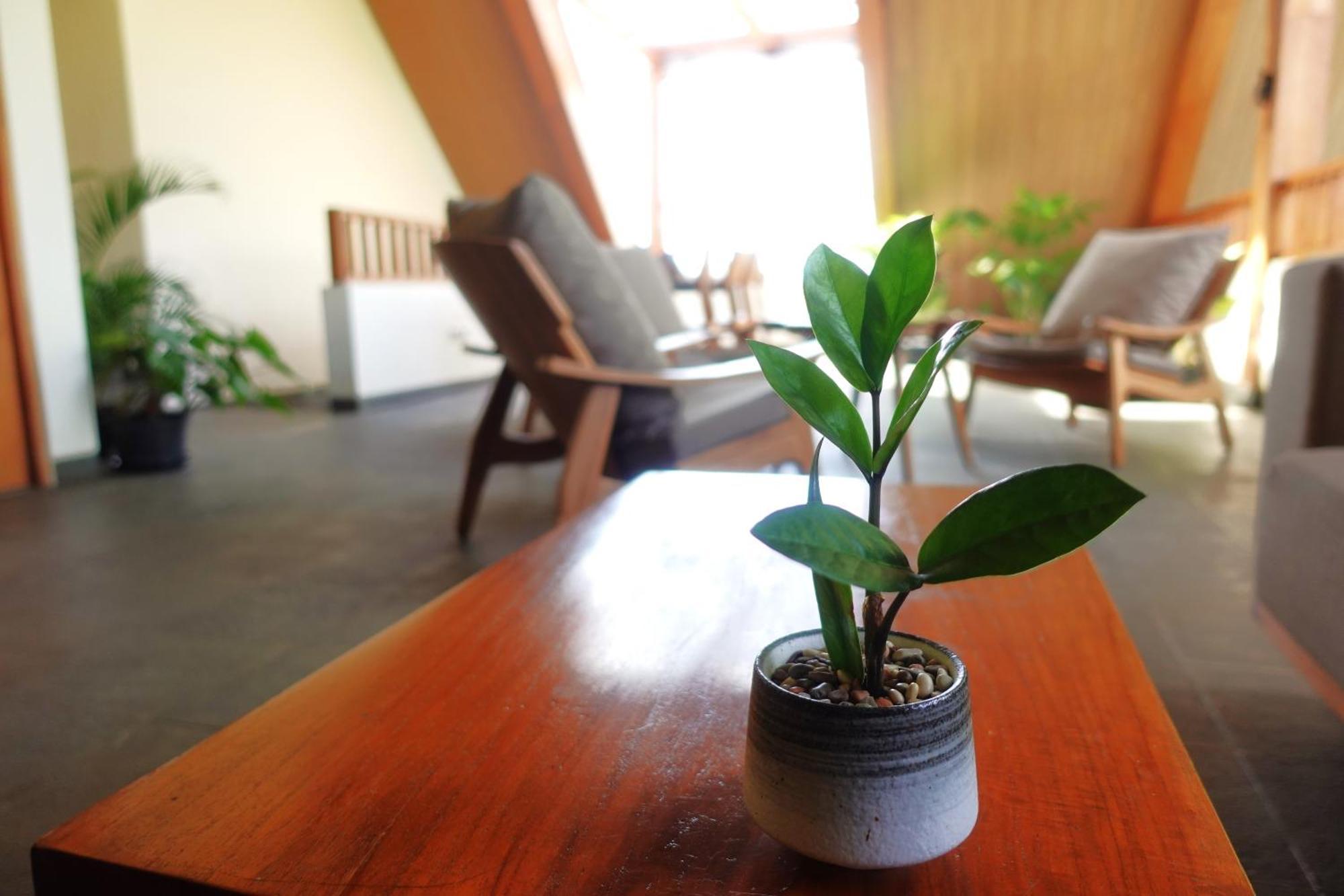 The Vinaya Boutique Hotel Ubud Exteriér fotografie