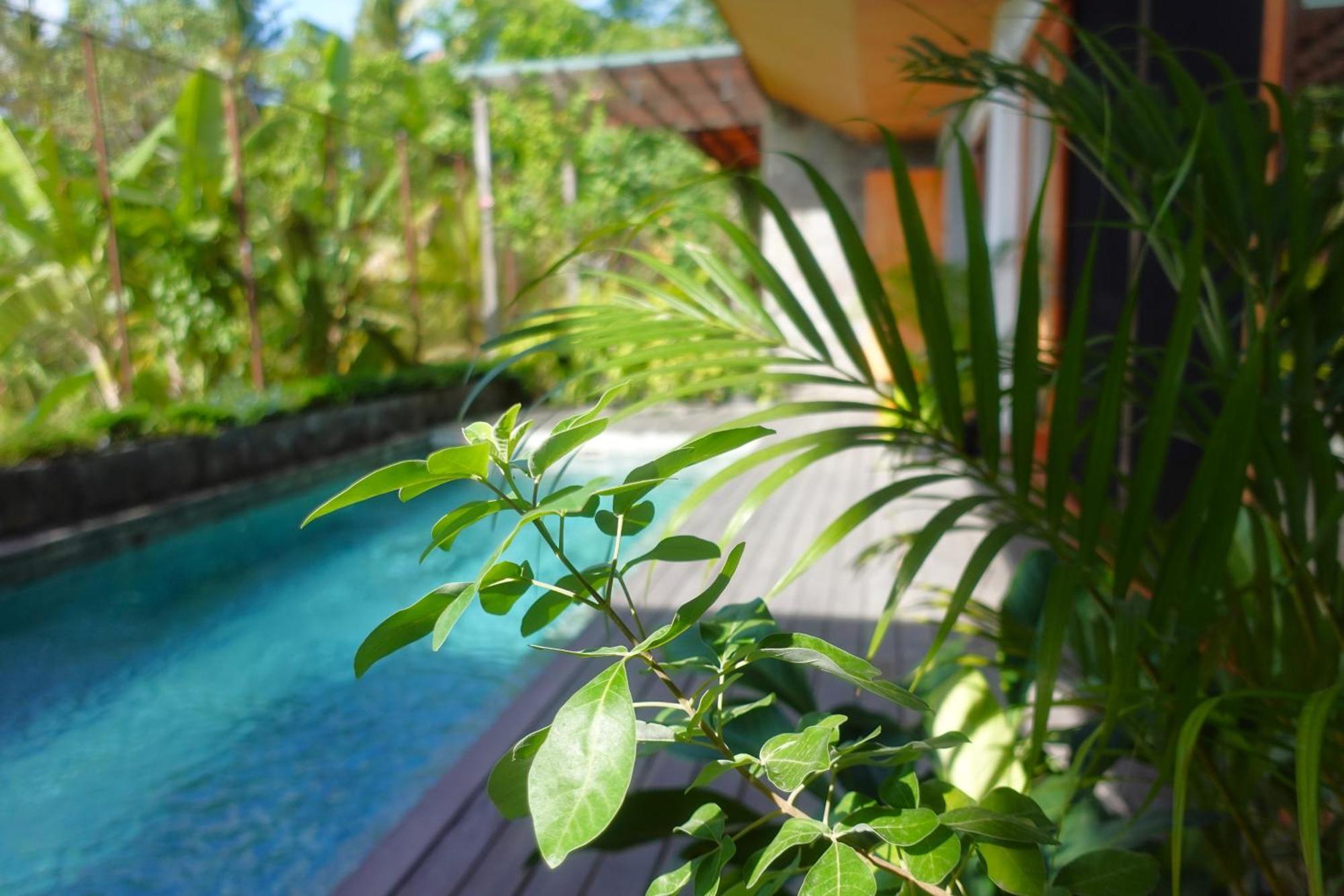 The Vinaya Boutique Hotel Ubud Exteriér fotografie